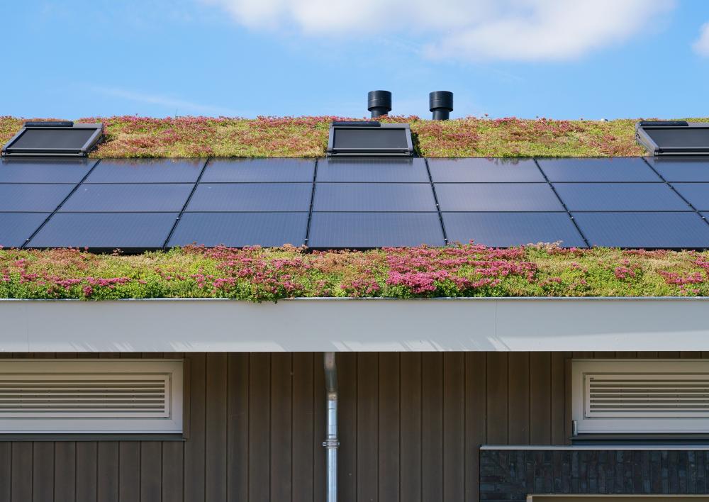 Groen dak met zonnepanelen 