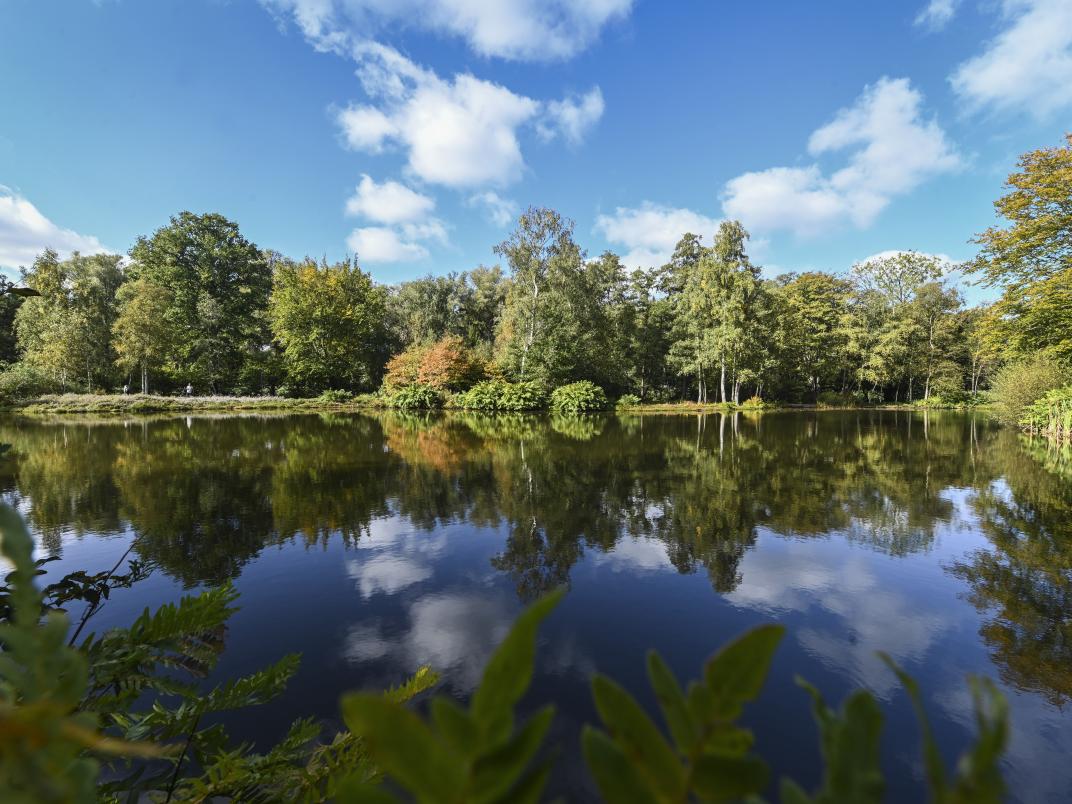 Heemparken herfst