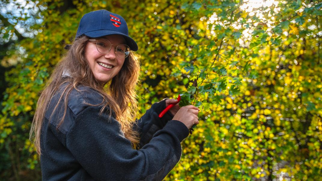 Meisje is heg aan het snoeien
